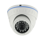 LIRDNCV130 Fixed Lens Dome Camera